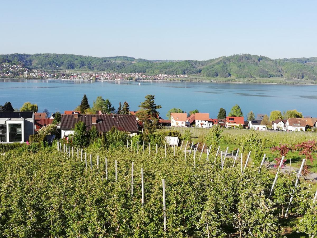 Fewo Segelwind Bodman-Ludwigshafen Eksteriør bilde