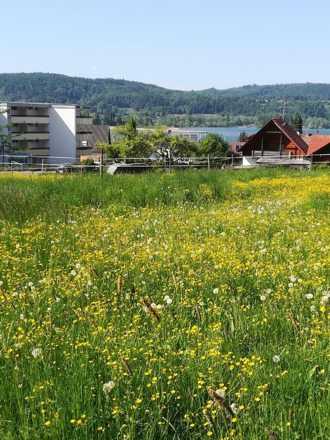 Fewo Segelwind Bodman-Ludwigshafen Eksteriør bilde